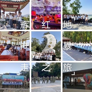 魚(yú)泡網(wǎng)