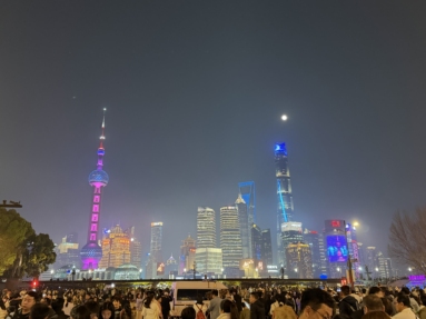 鱼泡网