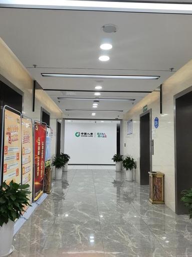 鱼泡网