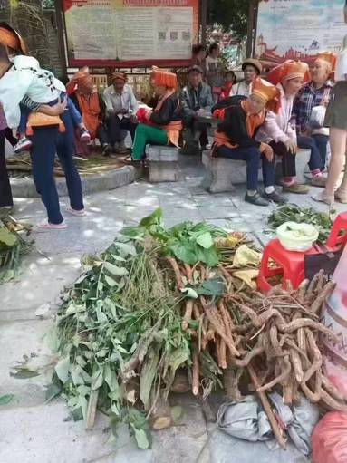 鱼泡网