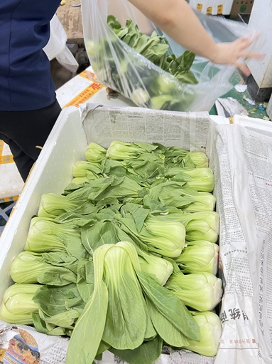 魚泡網