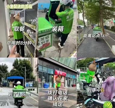 鱼泡网