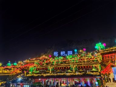 鱼泡网