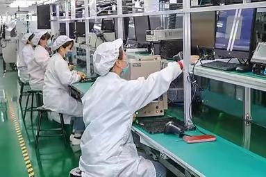 鱼泡网