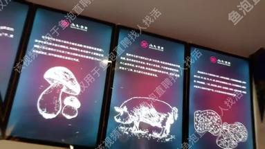 魚泡網(wǎng)