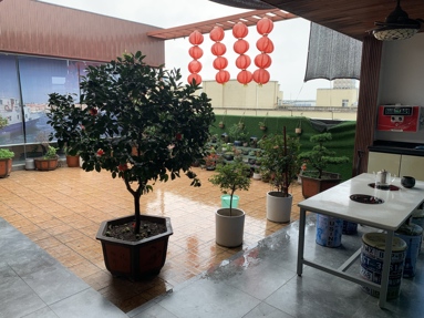 鱼泡网