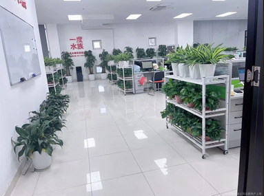 鱼泡网