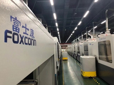 鱼泡网