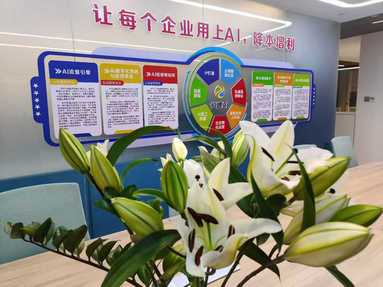 鱼泡网