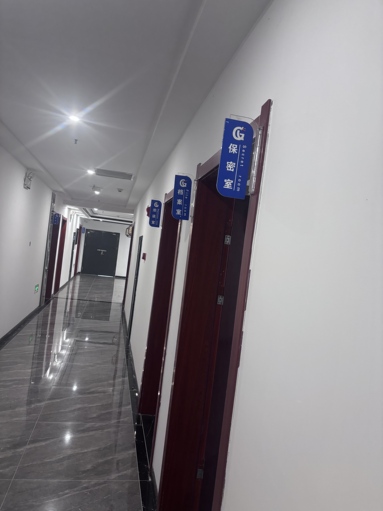 鱼泡网