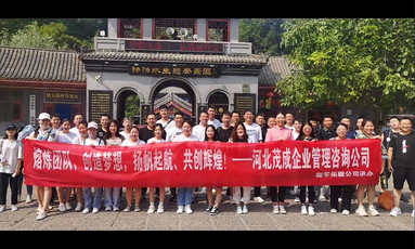 鱼泡网