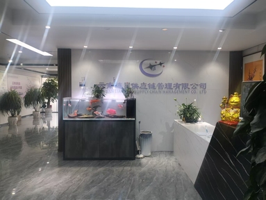 鱼泡网
