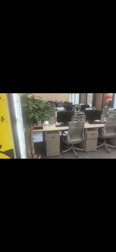 鱼泡网