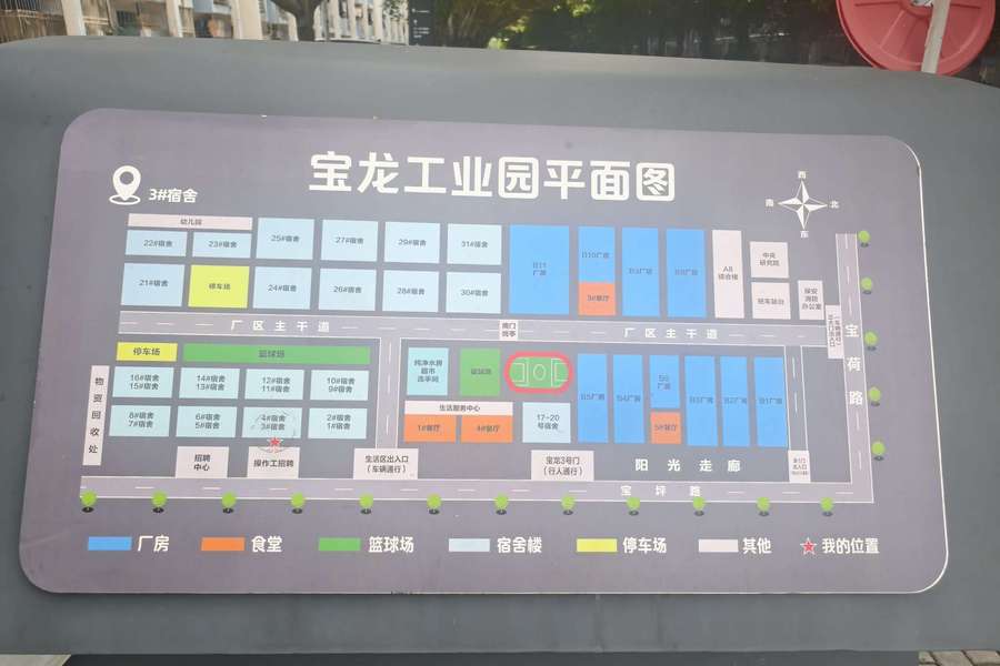 鱼泡网