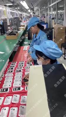 鱼泡网