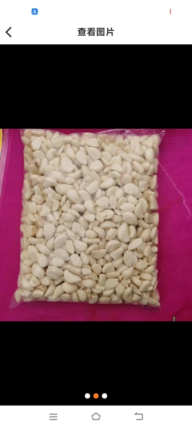 魚泡網