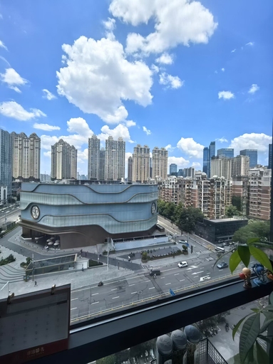鱼泡网