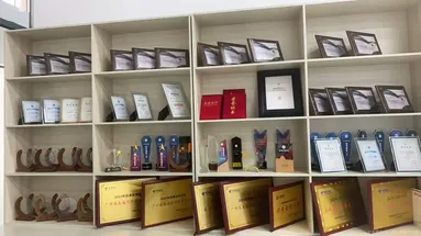 鱼泡网