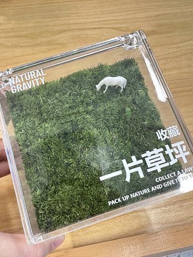 魚泡網