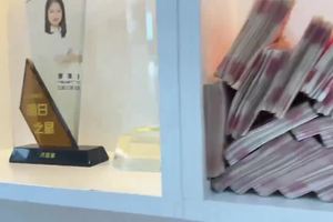 鱼泡网