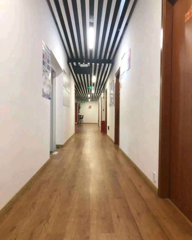 鱼泡网