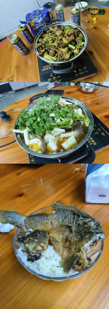 魚泡網