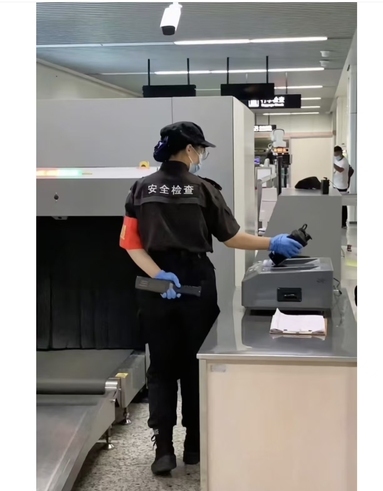 鱼泡网