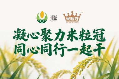 鱼泡网