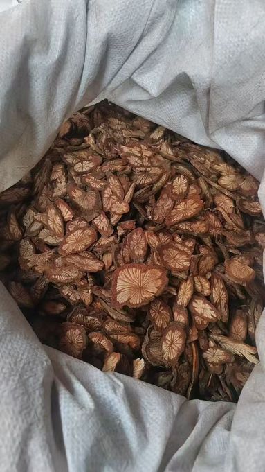 鱼泡网