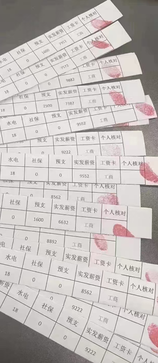 鱼泡网