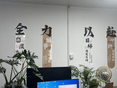 鱼泡网