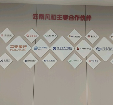 魚泡網(wǎng)