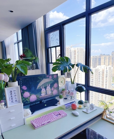 鱼泡网