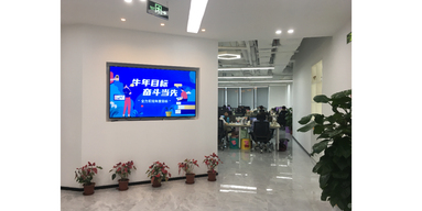 鱼泡网