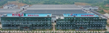 鱼泡网