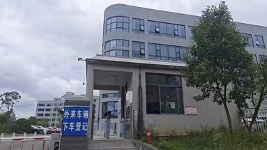 鱼泡网