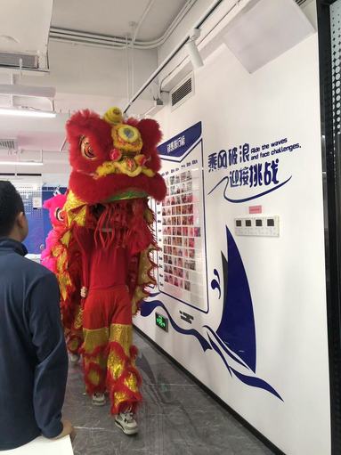 魚泡網
