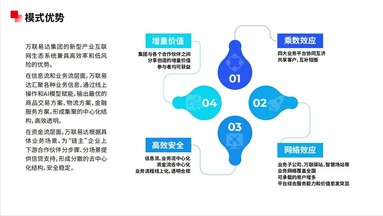 鱼泡网