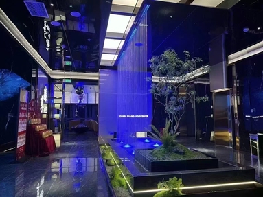 魚泡網