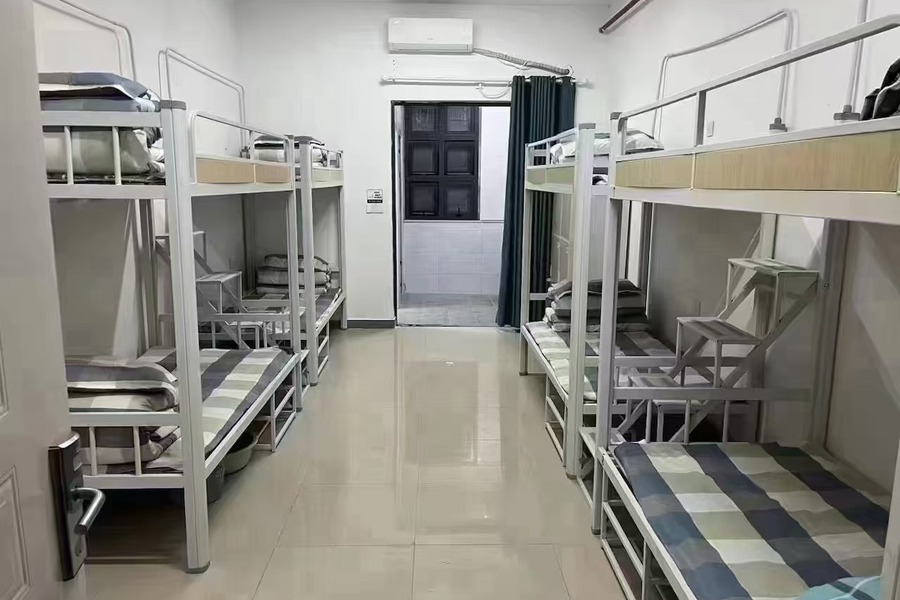 鱼泡网