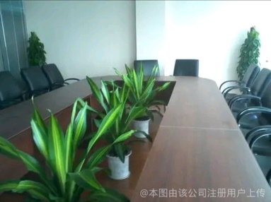 鱼泡网