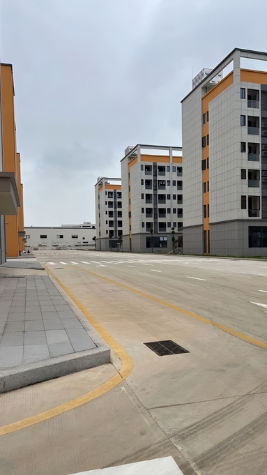 鱼泡网