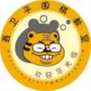 聶衛(wèi)平圍棋教室