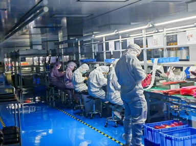 鱼泡网
