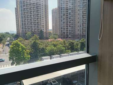 鱼泡网