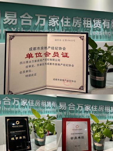 鱼泡网