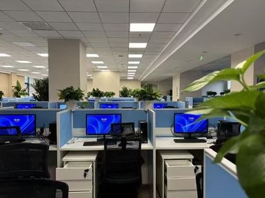 鱼泡网
