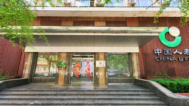 鱼泡网