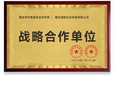 鱼泡网