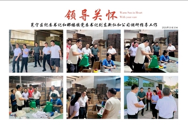 鱼泡网